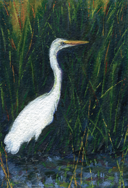 wading-egret.jpg
